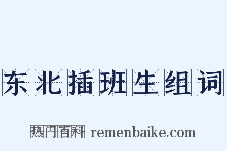 东北插班生组词是什么意思的图片